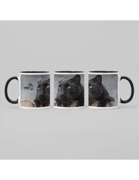 Custom Mug Color